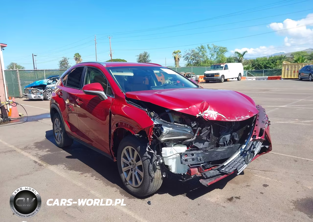 2019 Lexus Nx 300 F Sport VIN:JTJYARBZ0K2131742 - 18