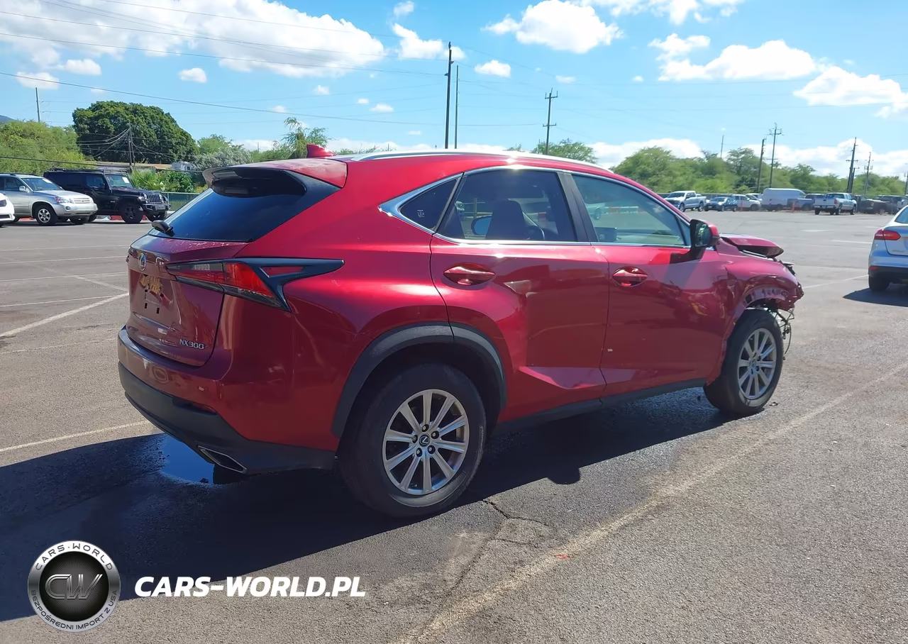 2019 Lexus Nx 300 F Sport VIN:JTJYARBZ0K2131742 - 4