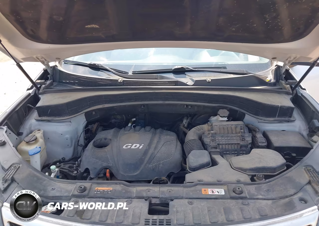 2014 Kia Sorento Lx VIN:5XYKTCA61EG488946 - 10