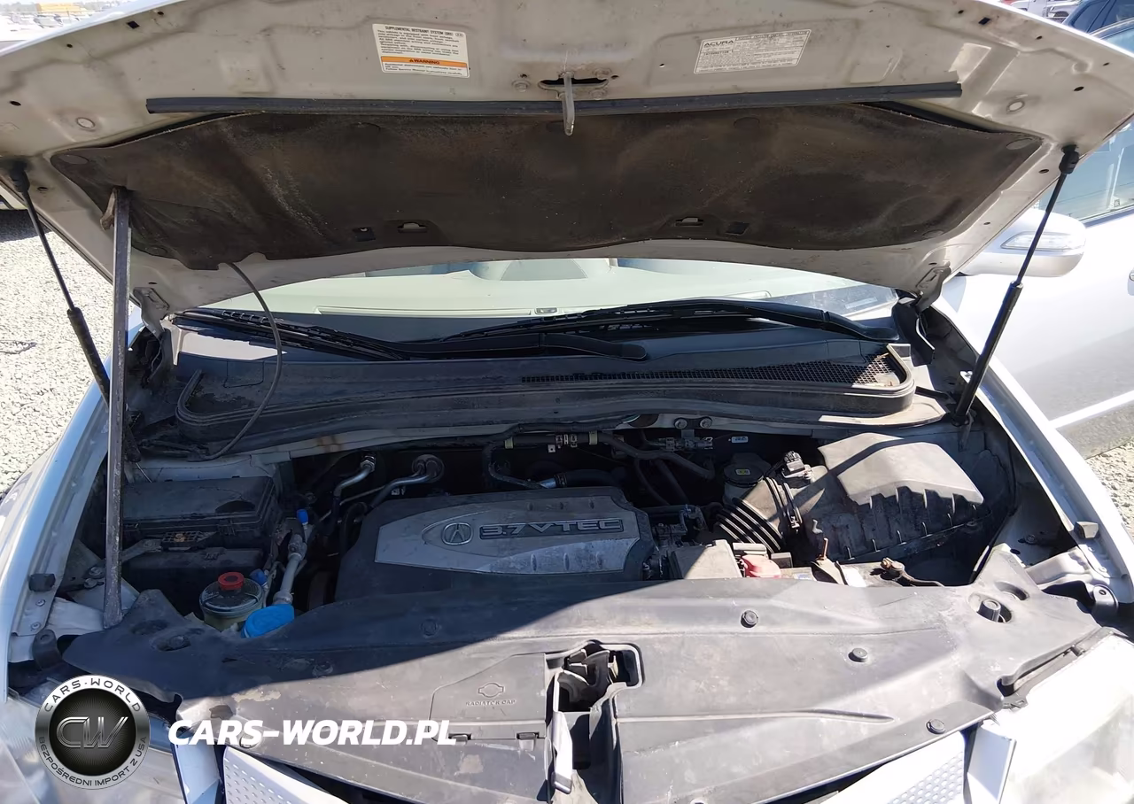 2009 Acura Mdx Technology Package VIN:2HNYD28619H503213 - 10