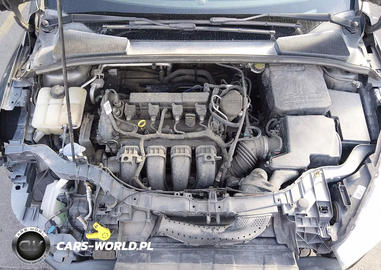 2015 Ford Focus Se VIN:1FADP3K27FL248756 - 10