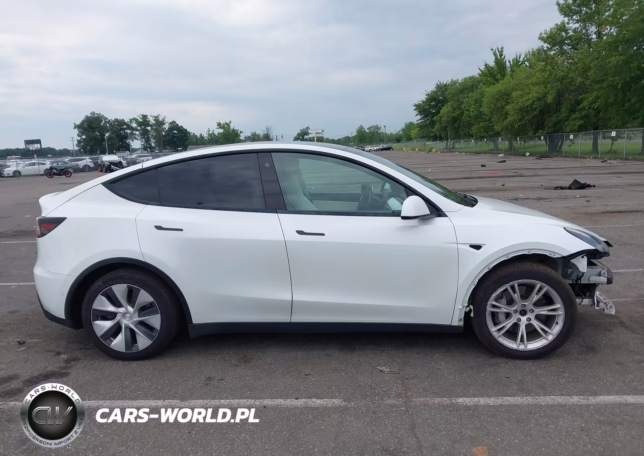 2021 Tesla Model Y Long Range Dual Motor All-Wheel Drive VIN:5YJYGAEE0MF189197 - 13