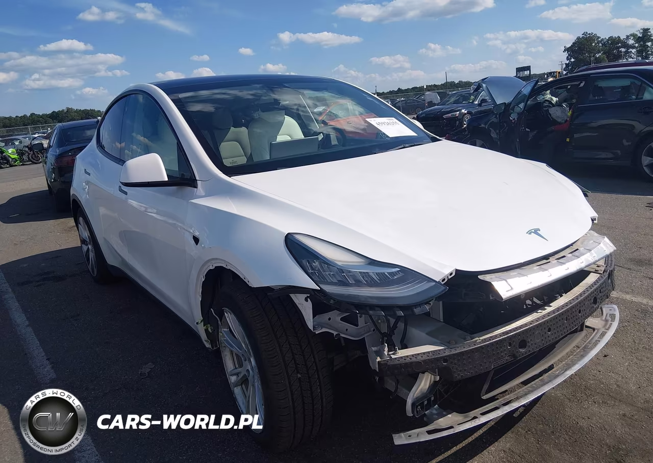 2021 Tesla Model Y Long Range Dual Motor All-Wheel Drive VIN:5YJYGAEE0MF189197 - 20