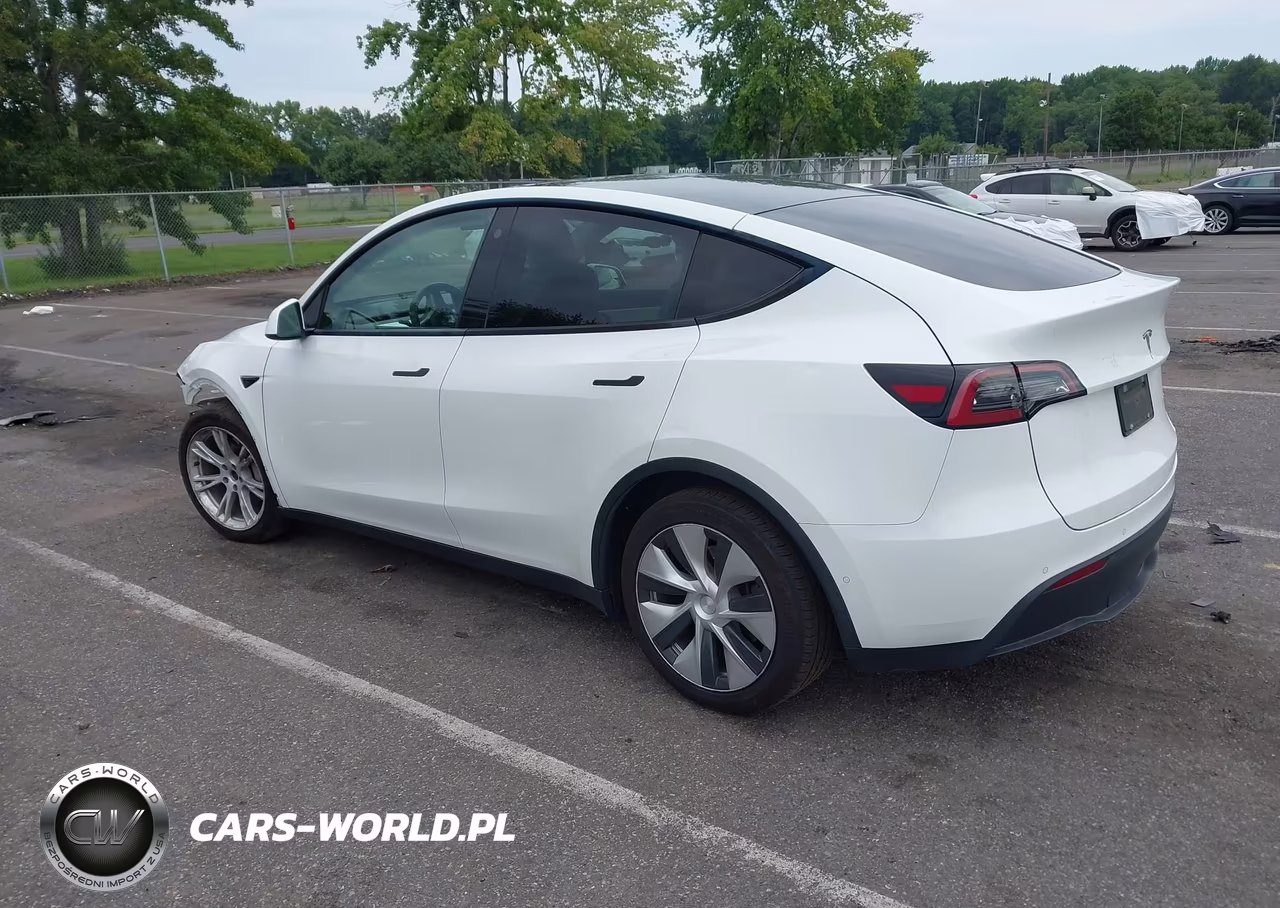 2021 Tesla Model Y Long Range Dual Motor All-Wheel Drive VIN:5YJYGAEE0MF189197 - 3