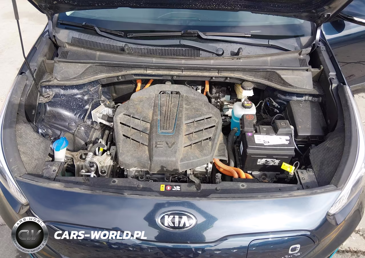 2020 Kia Niro Ev Ex Premium VIN:KNDCE3LG0L5074552 - 10