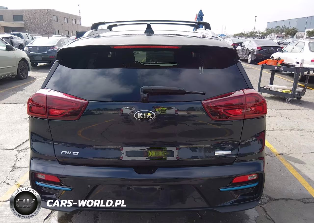 2020 Kia Niro Ev Ex Premium VIN:KNDCE3LG0L5074552 - 16