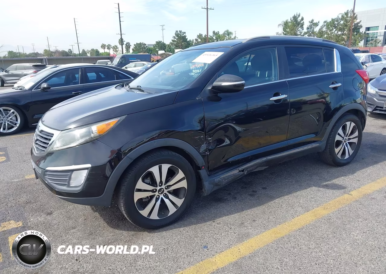 2013 Kia Sportage Ex VIN:KNDPC3A29D7507080 - 2