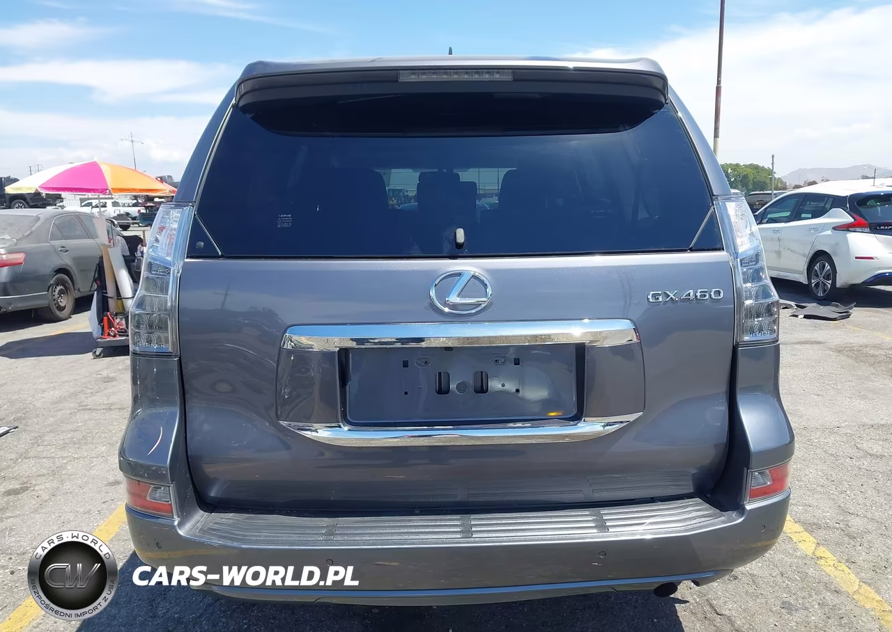 2019 Lexus Gx 460 Premium VIN:JTJBM7FX9K5236580 - 17