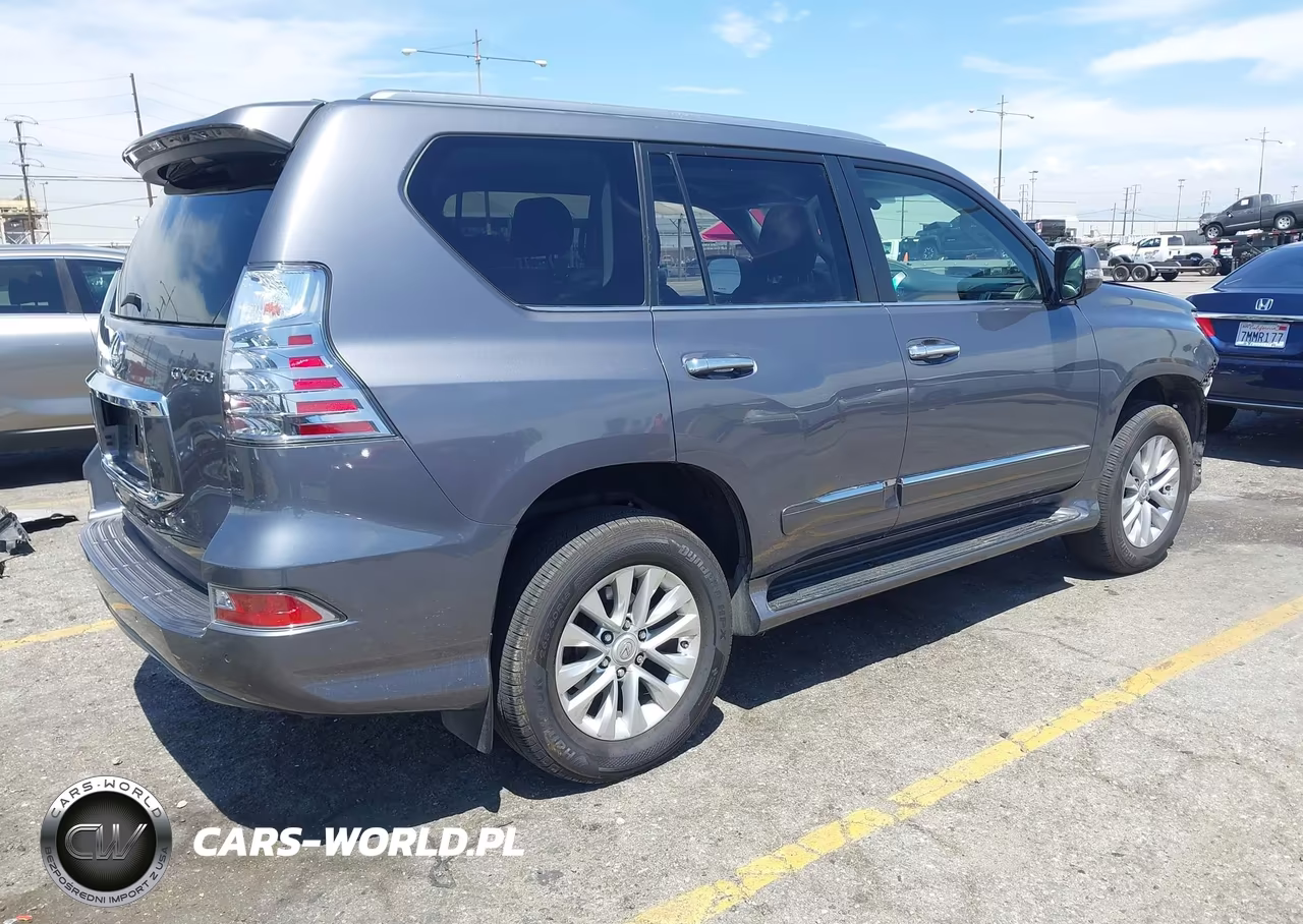 2019 Lexus Gx 460 Premium VIN:JTJBM7FX9K5236580 - 4