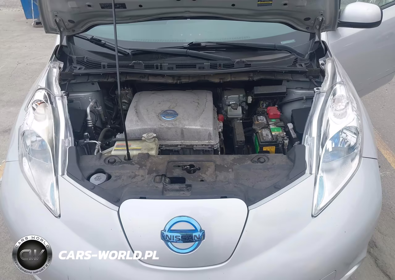 2013 Nissan Leaf S VIN:1N4AZ0CP5DC413772 - 10