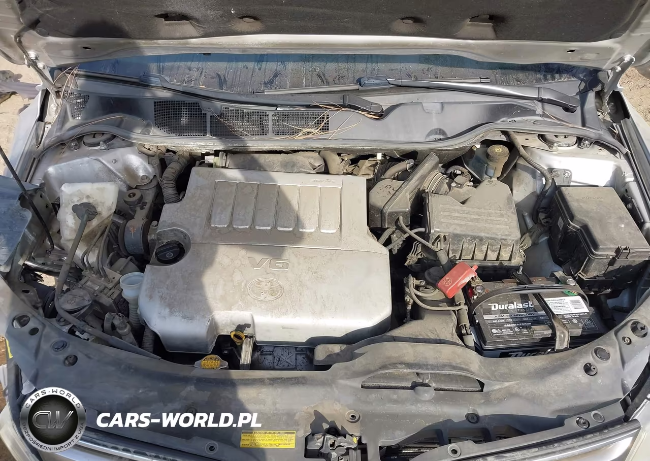 2010 Toyota Venza Base V6 VIN:4T3BK3BB3AU033266 - 10
