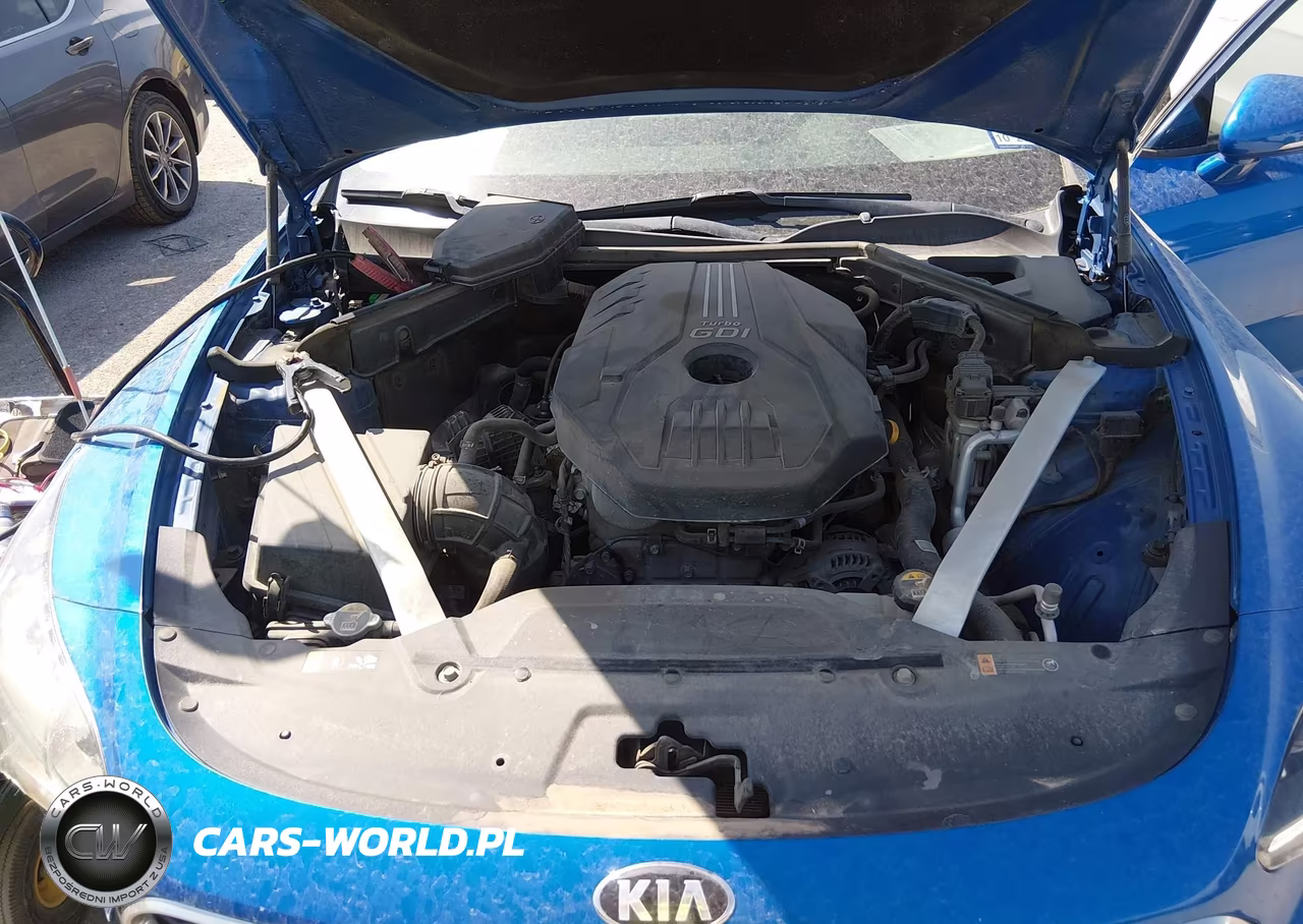 2019 Kia Stinger VIN:KNAE15LA2K6052103 - 10