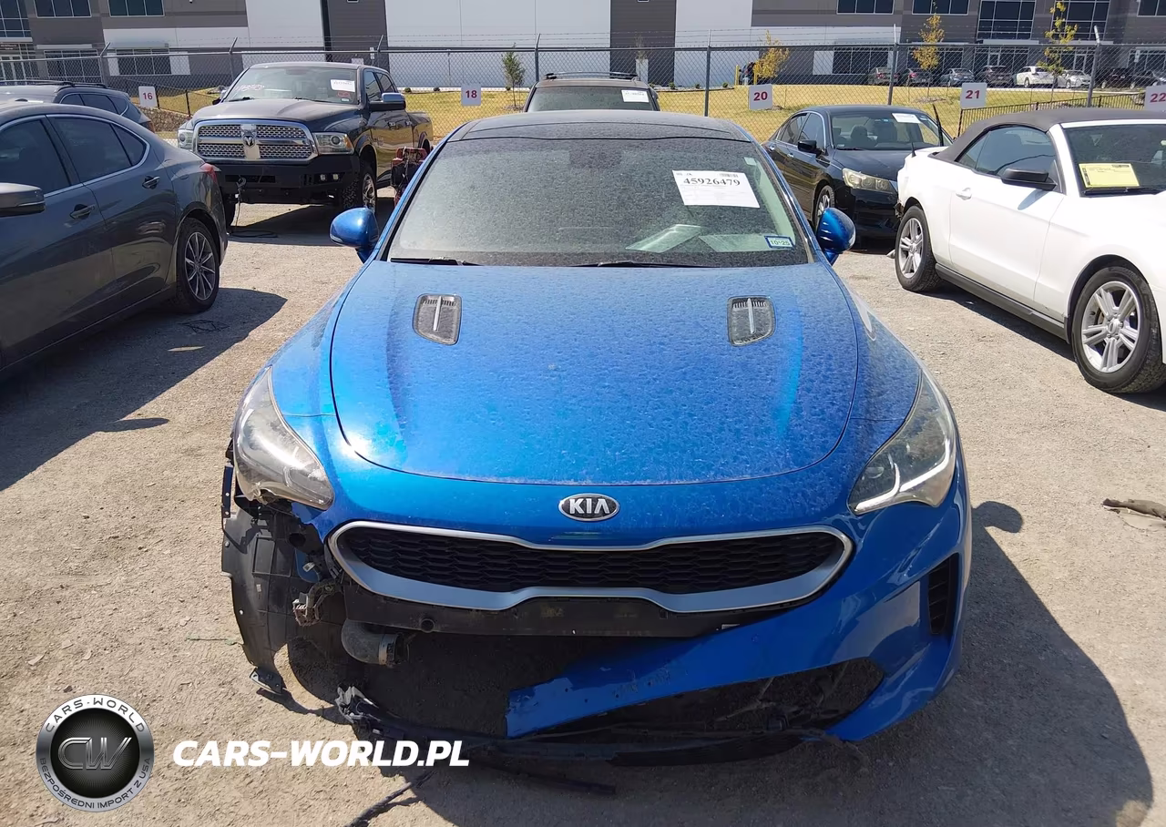 2019 Kia Stinger VIN:KNAE15LA2K6052103 - 12
