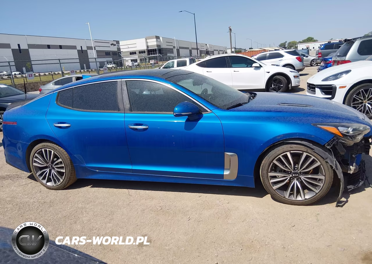 2019 Kia Stinger VIN:KNAE15LA2K6052103 - 13