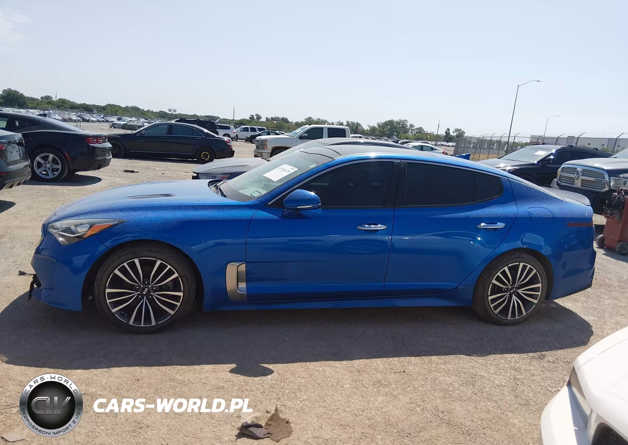 2019 Kia Stinger VIN:KNAE15LA2K6052103 - 14