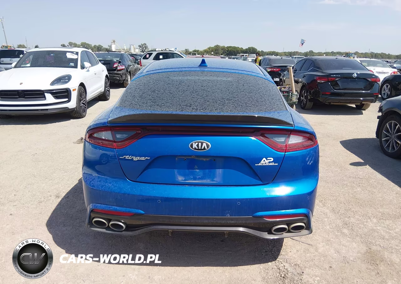 2019 Kia Stinger VIN:KNAE15LA2K6052103 - 16