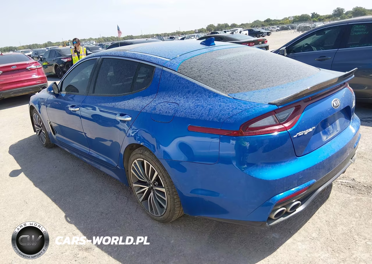 2019 Kia Stinger VIN:KNAE15LA2K6052103 - 3