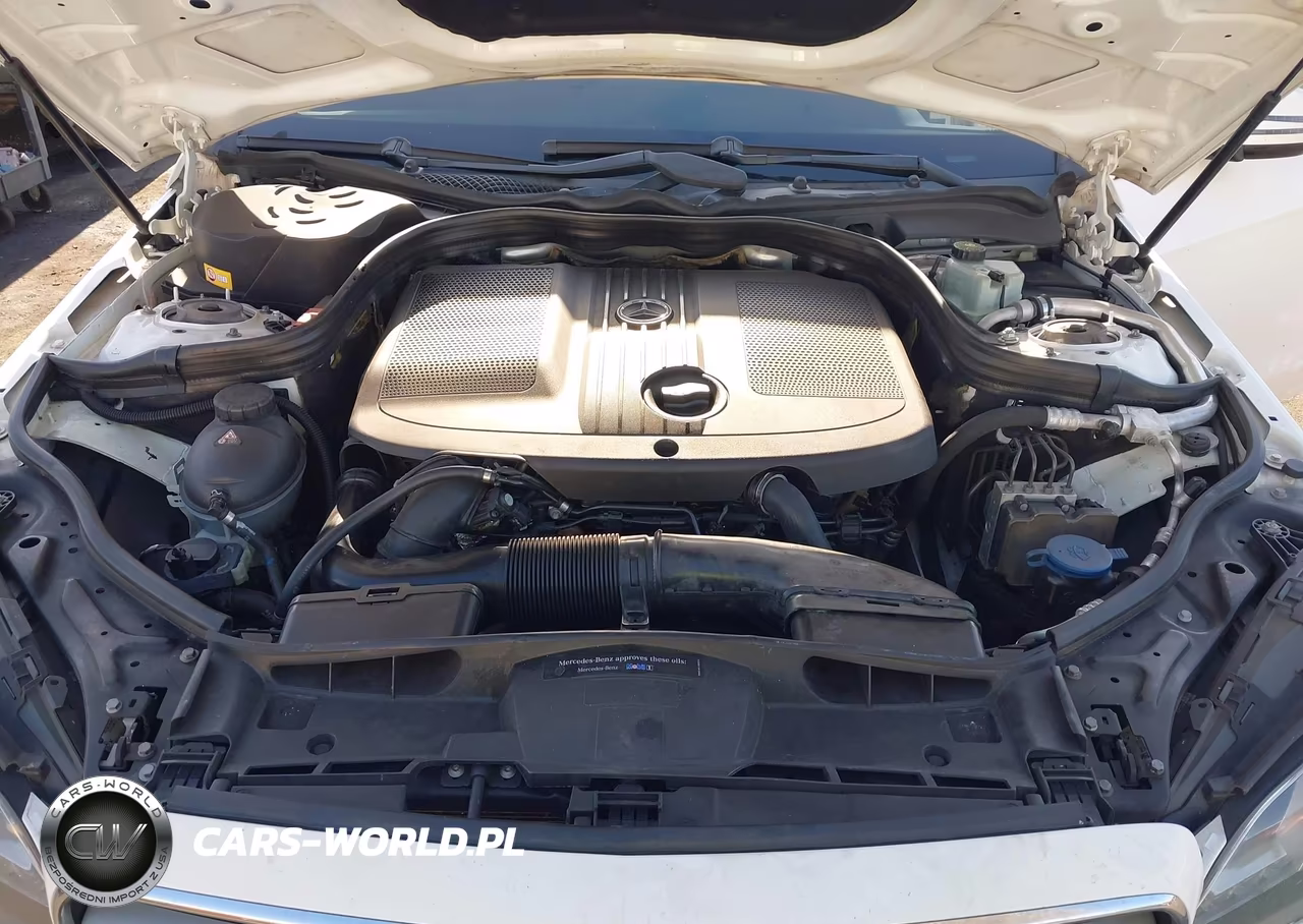 2014 Mercedes-Benz E 250 Bluetec VIN:WDDHF0EBXEA946299 - 10