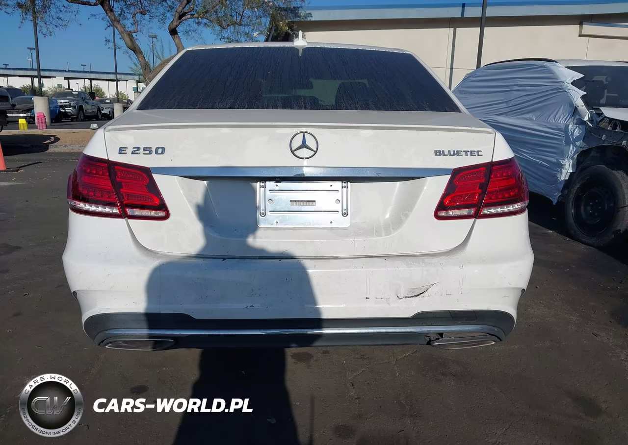 2014 Mercedes-Benz E 250 Bluetec VIN:WDDHF0EBXEA946299 - 16