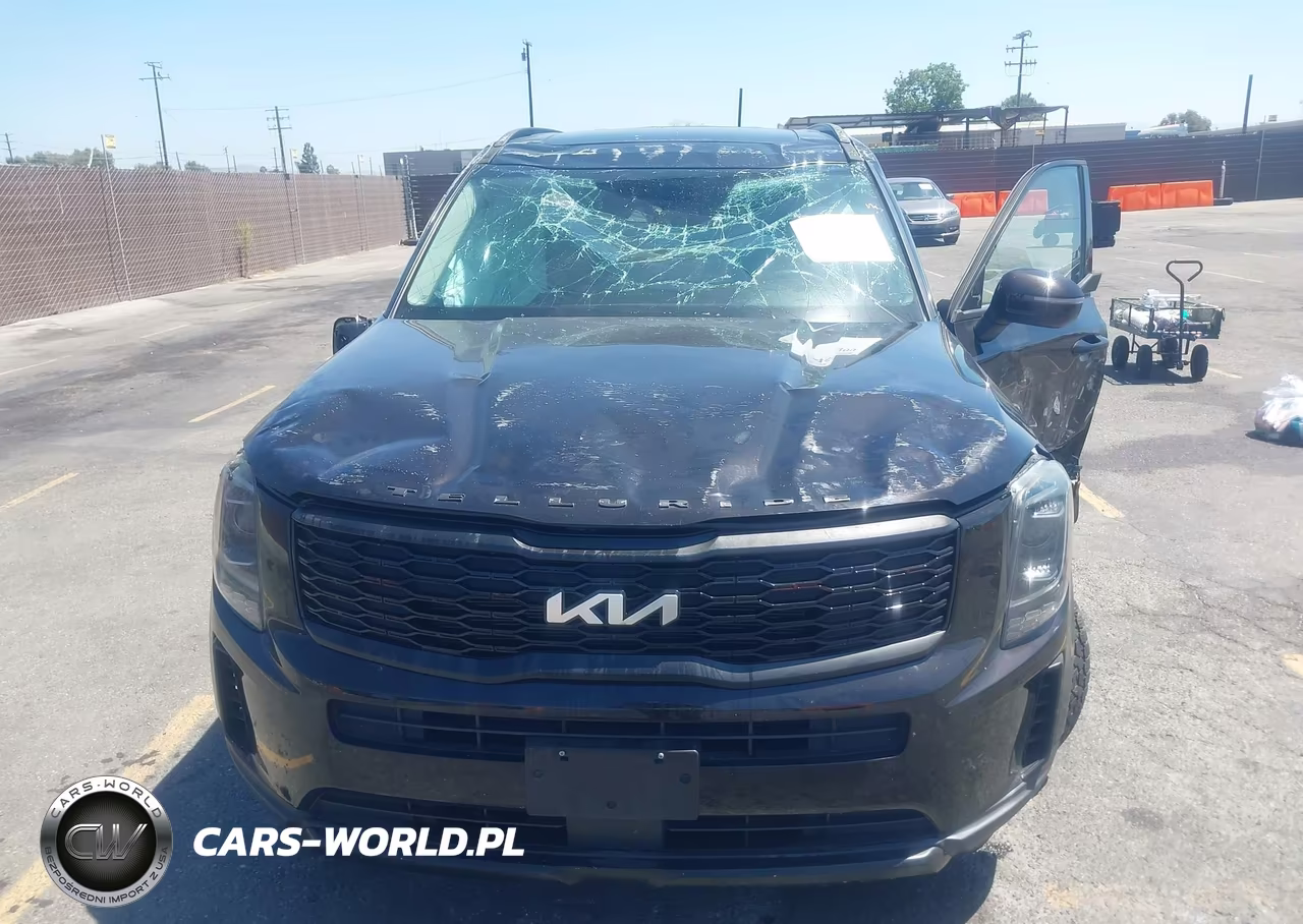 2022 Kia Telluride Ex VIN:5XYP34HC0NG246947 - 12