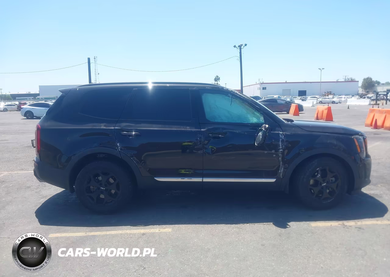 2022 Kia Telluride Ex VIN:5XYP34HC0NG246947 - 13