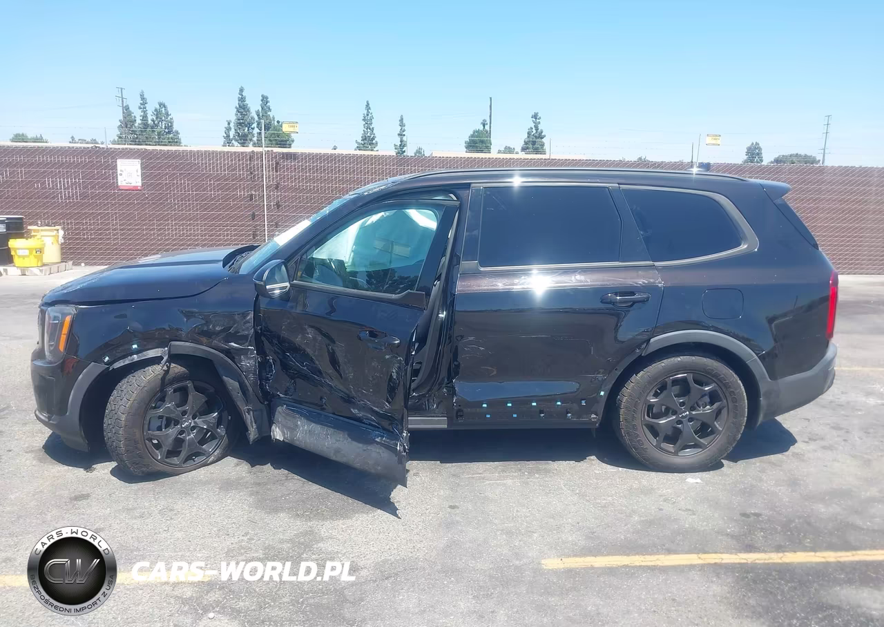 2022 Kia Telluride Ex VIN:5XYP34HC0NG246947 - 14