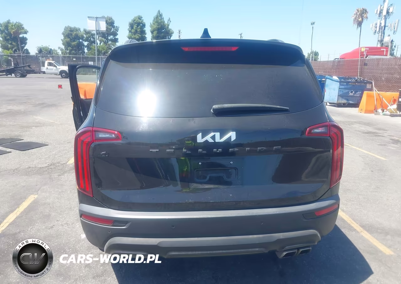 2022 Kia Telluride Ex VIN:5XYP34HC0NG246947 - 16
