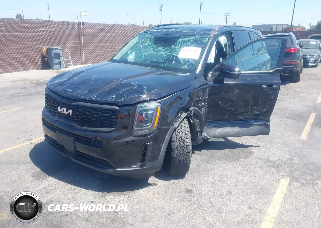 2022 Kia Telluride Ex VIN:5XYP34HC0NG246947 - 2