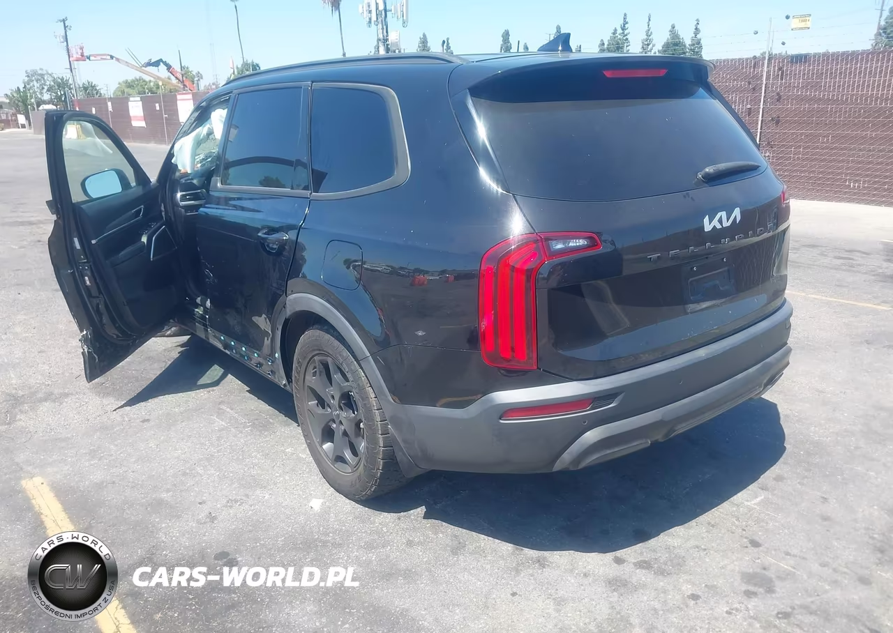 2022 Kia Telluride Ex VIN:5XYP34HC0NG246947 - 3