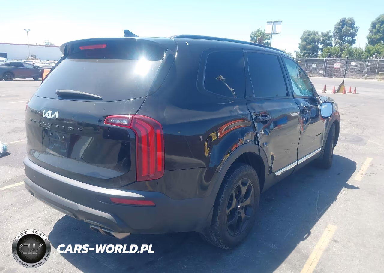 2022 Kia Telluride Ex VIN:5XYP34HC0NG246947 - 4