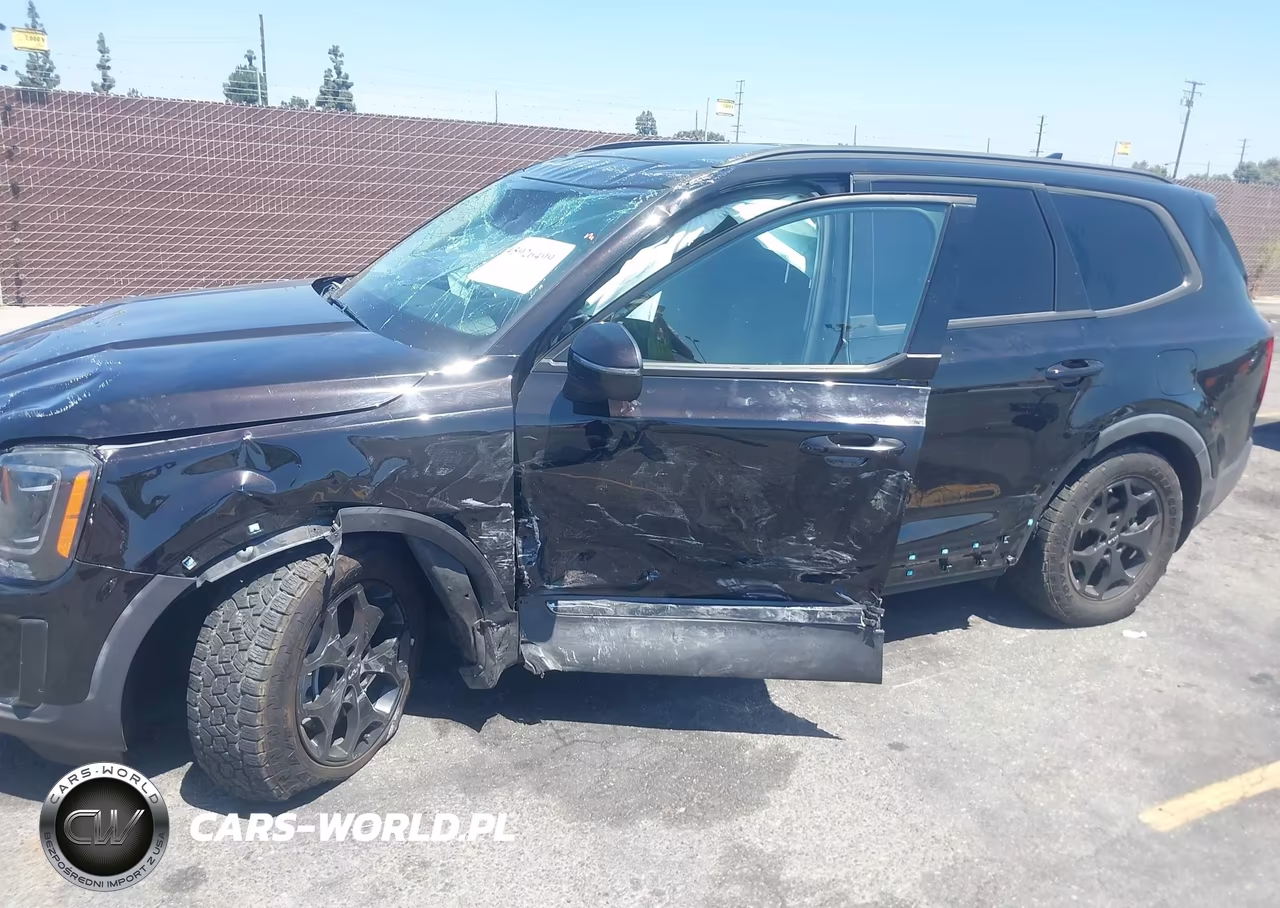 2022 Kia Telluride Ex VIN:5XYP34HC0NG246947 - 6