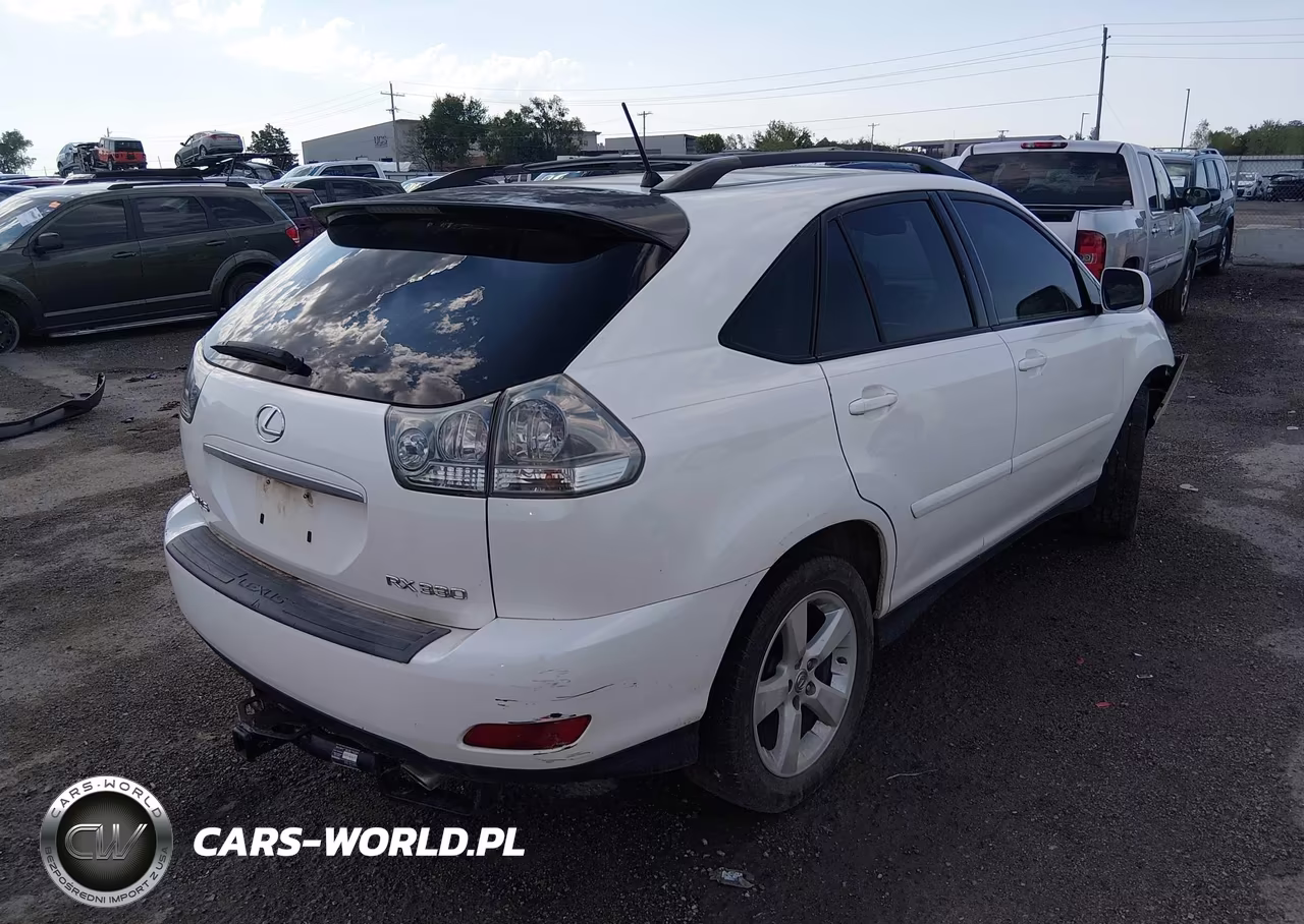 2006 Lexus Rx 330 VIN:JTJGA31UX60060825 - 4