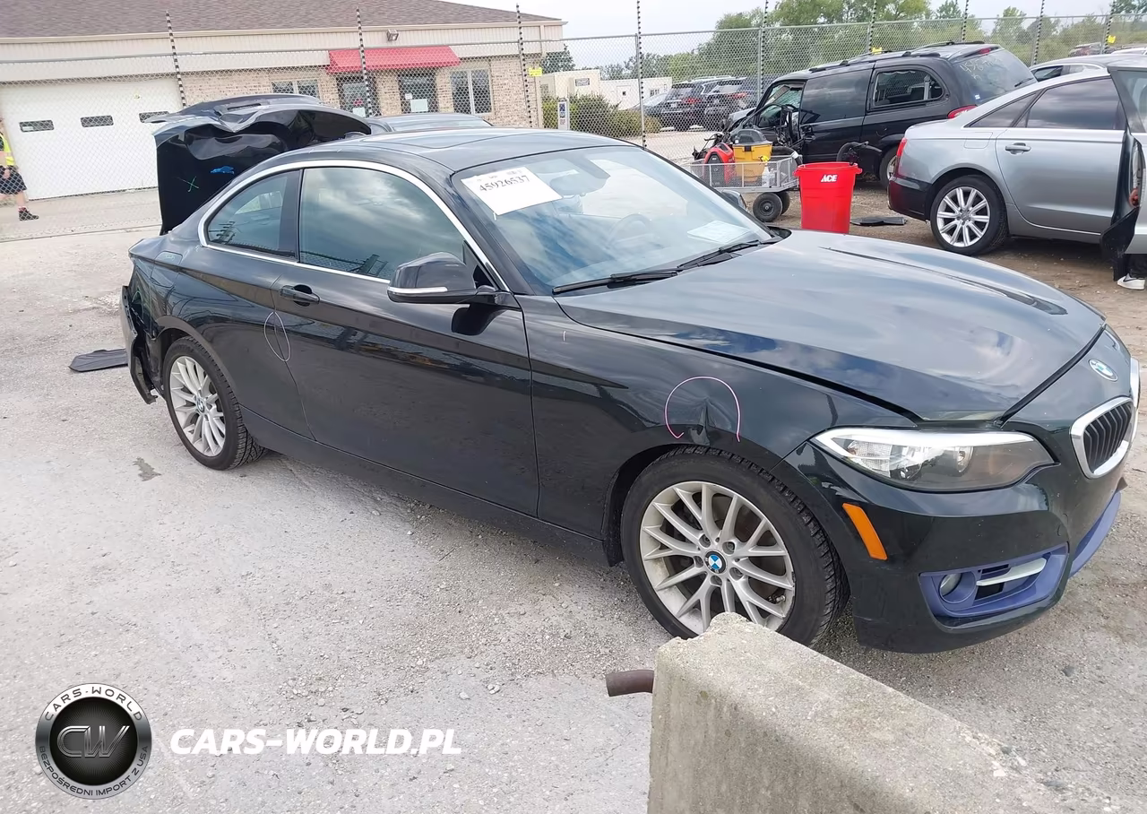 2016 BMW 228I xDrive VIN:WBA1G9C51GVX96991 - 1