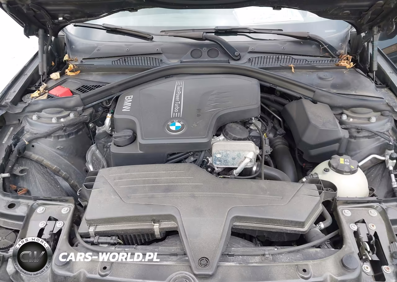 2016 BMW 228I xDrive VIN:WBA1G9C51GVX96991 - 10