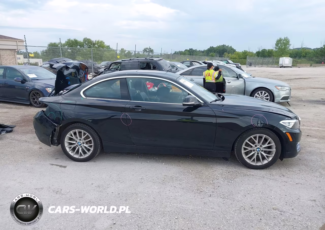 2016 BMW 228I xDrive VIN:WBA1G9C51GVX96991 - 13