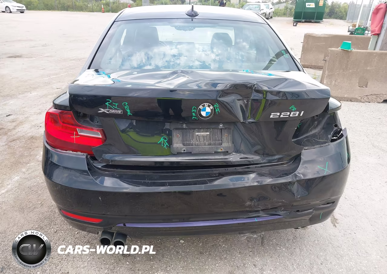 2016 BMW 228I xDrive VIN:WBA1G9C51GVX96991 - 16