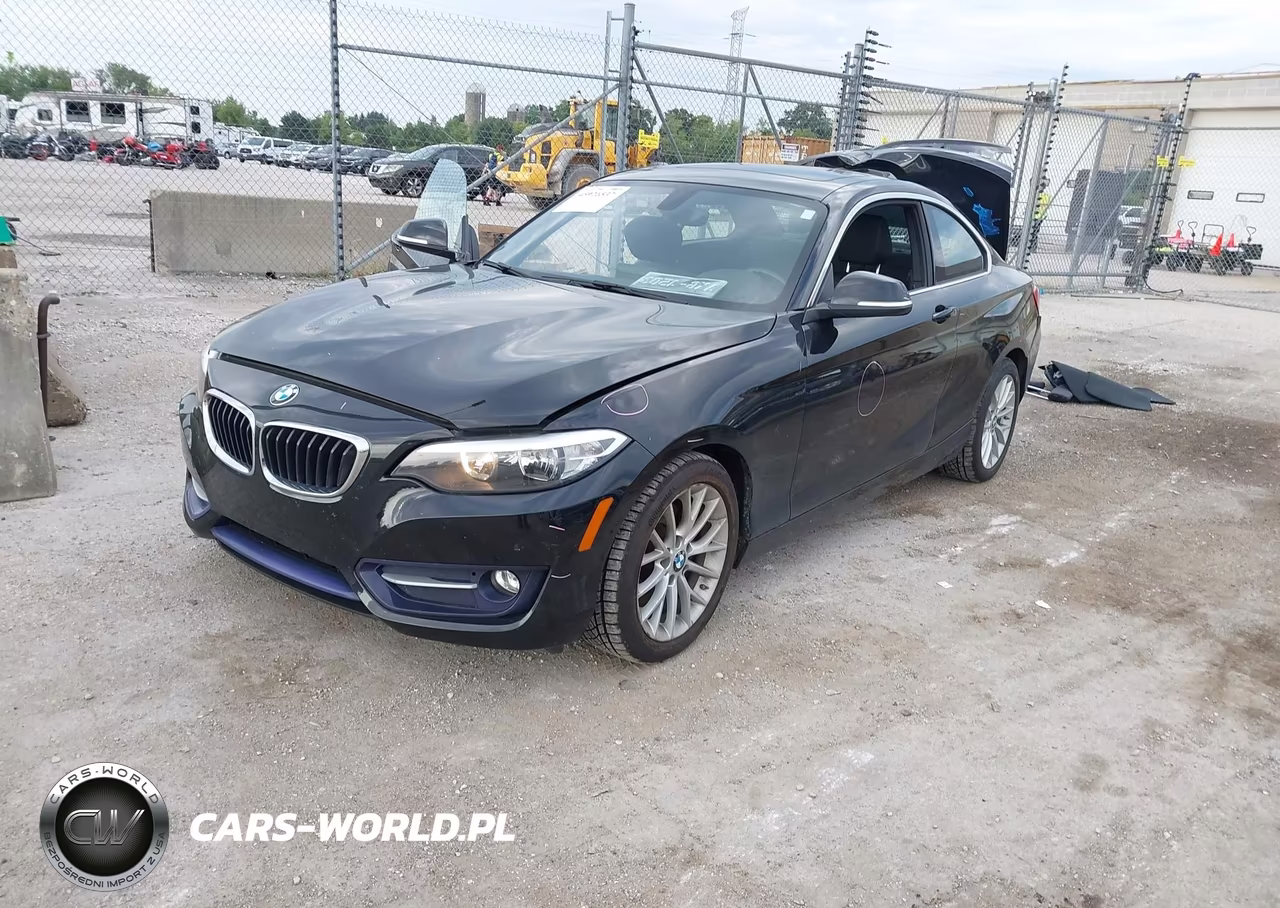 2016 BMW 228I xDrive VIN:WBA1G9C51GVX96991 - 2