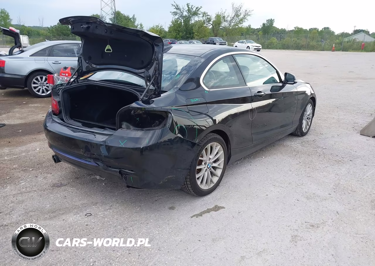 2016 BMW 228I xDrive VIN:WBA1G9C51GVX96991 - 4