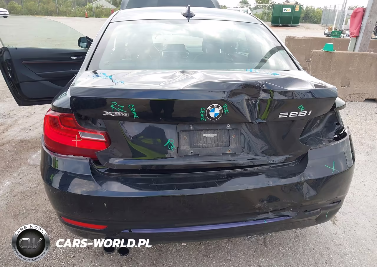2016 BMW 228I xDrive VIN:WBA1G9C51GVX96991 - 6