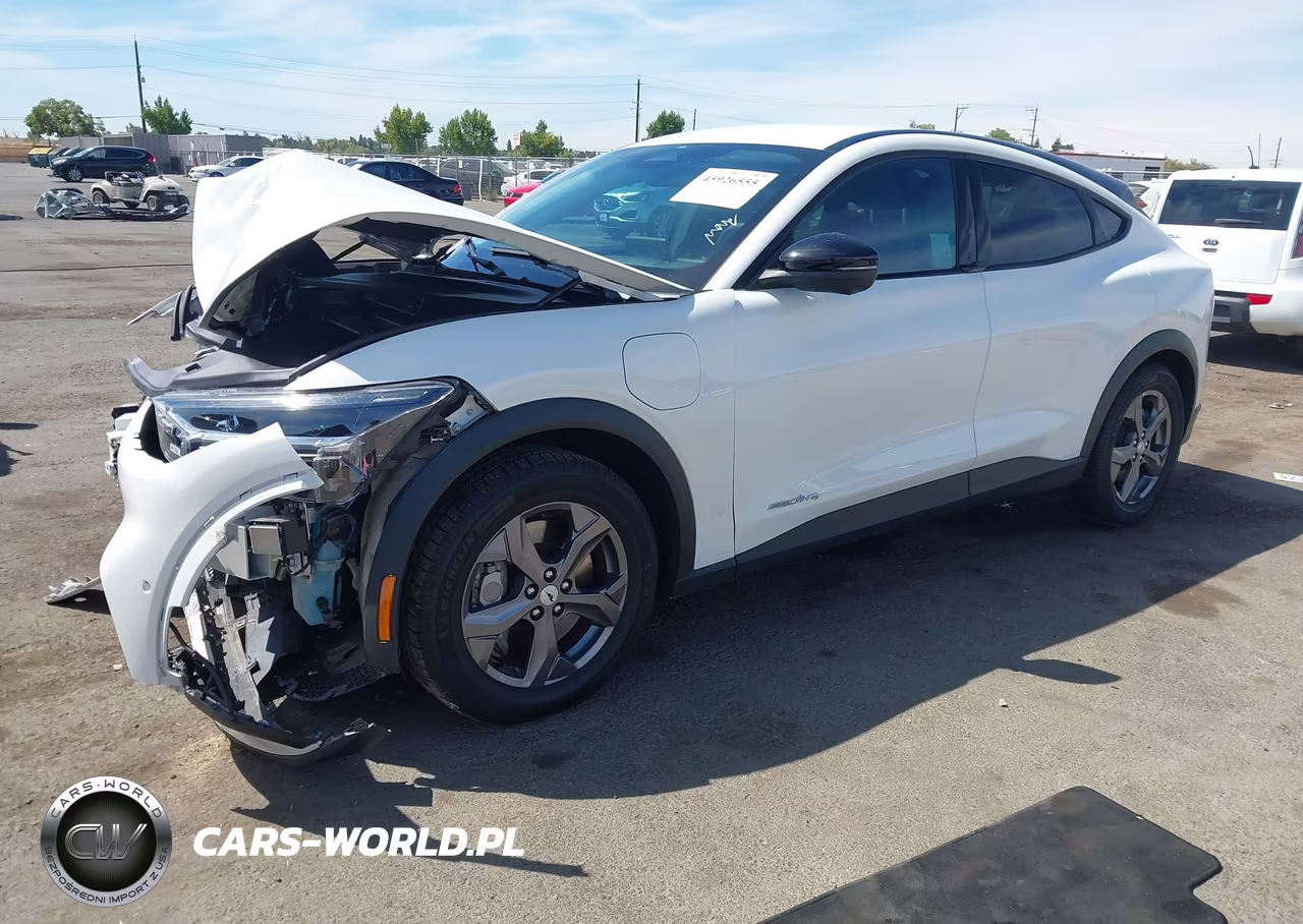 2023 Ford Mustang Mach-E Select VIN:3FMTK1SS8PMA27591 - 2