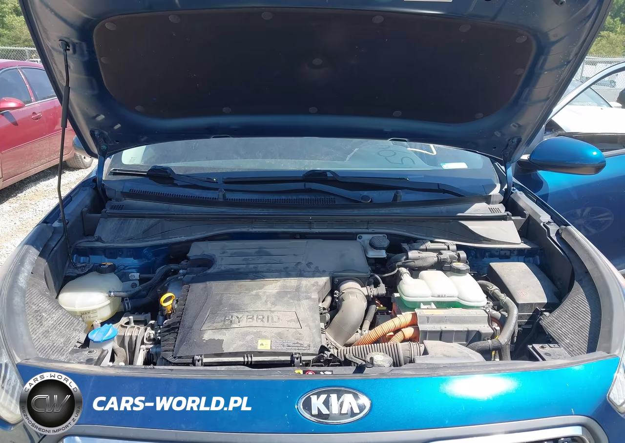 2017 Kia Niro Lx VIN:KNDCB3LC6H5091837 - 10
