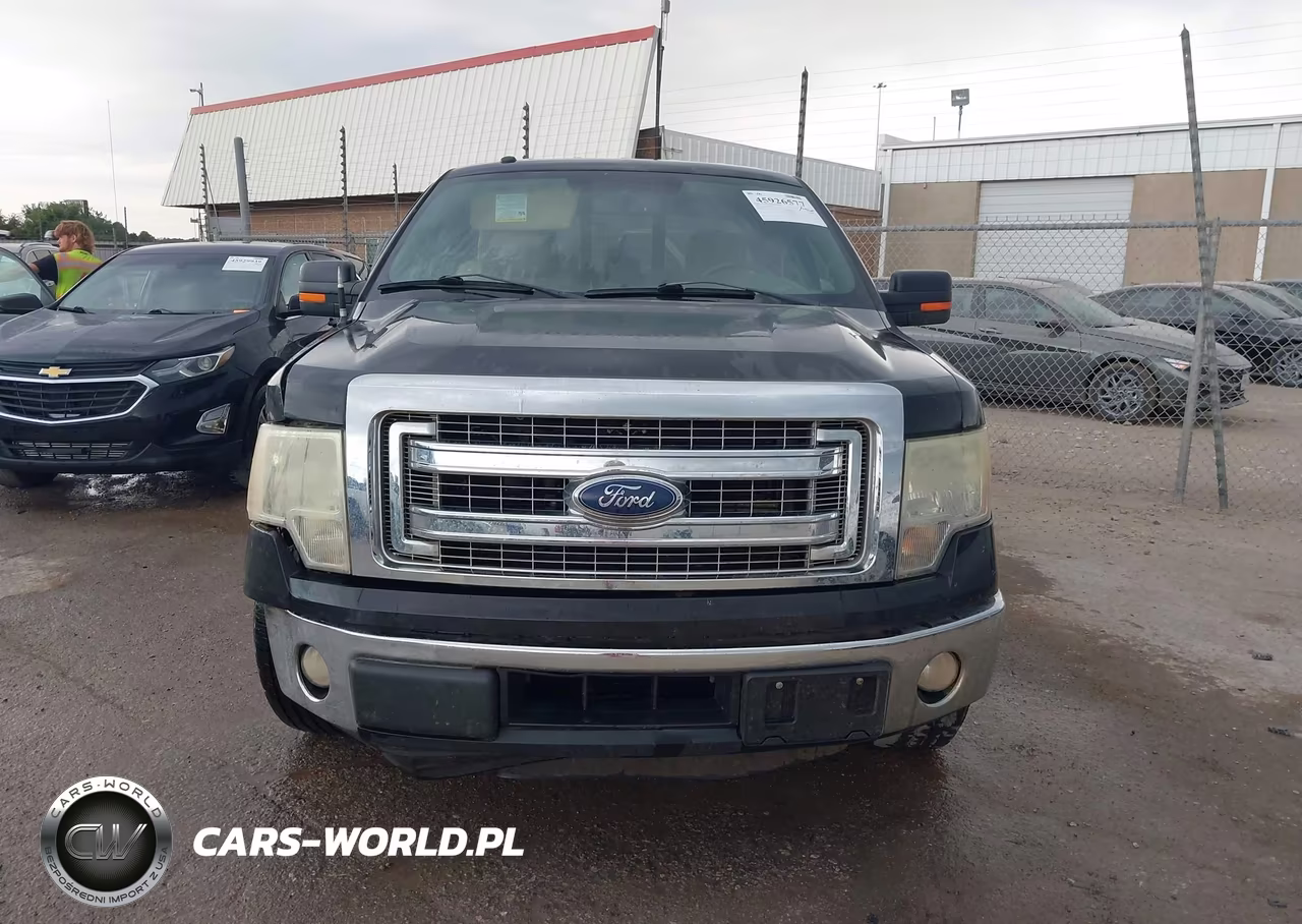 2014 Ford F-150 Xlt VIN:1FTFX1CT1EFA56003 - 12