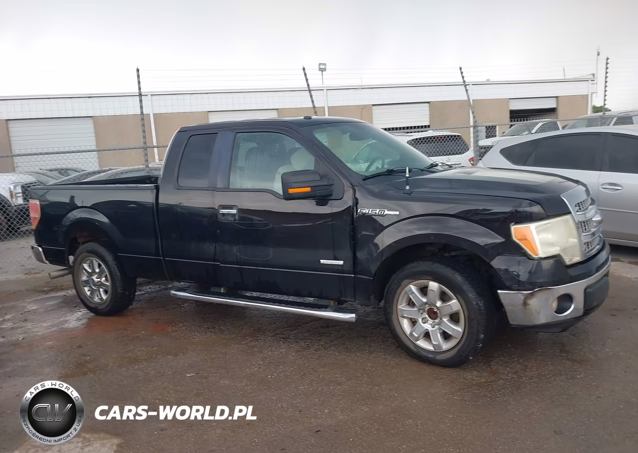 2014 Ford F-150 Xlt VIN:1FTFX1CT1EFA56003 - 13
