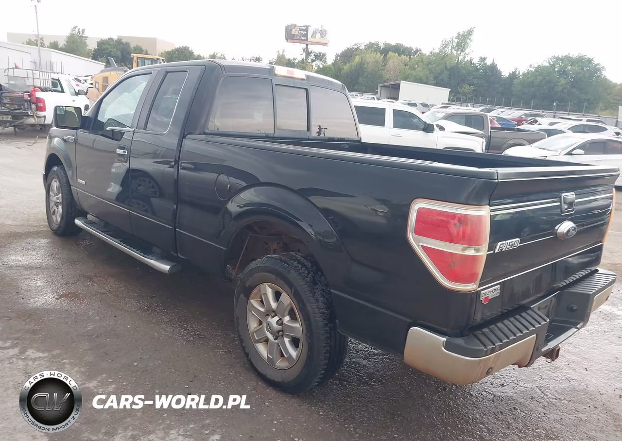 2014 Ford F-150 Xlt VIN:1FTFX1CT1EFA56003 - 3