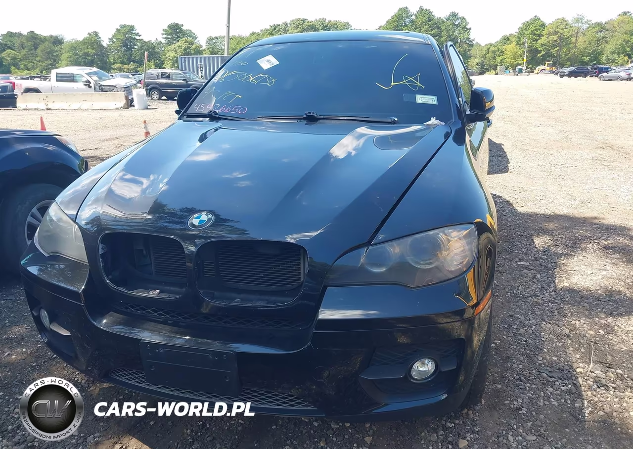 2011 BMW X6 xDrive35I VIN:5UXFG2C59BLX08305 - 11