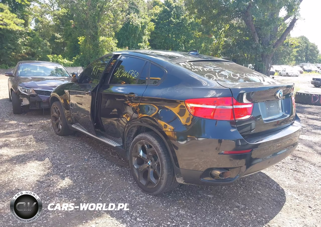 2011 BMW X6 xDrive35I VIN:5UXFG2C59BLX08305 - 3