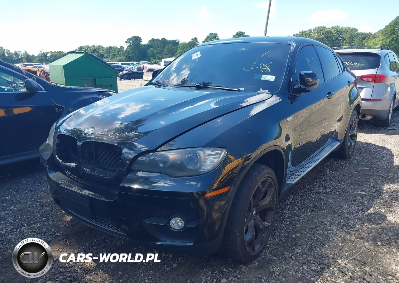 2011 BMW X6 xDrive35I VIN:5UXFG2C59BLX08305 - 6
