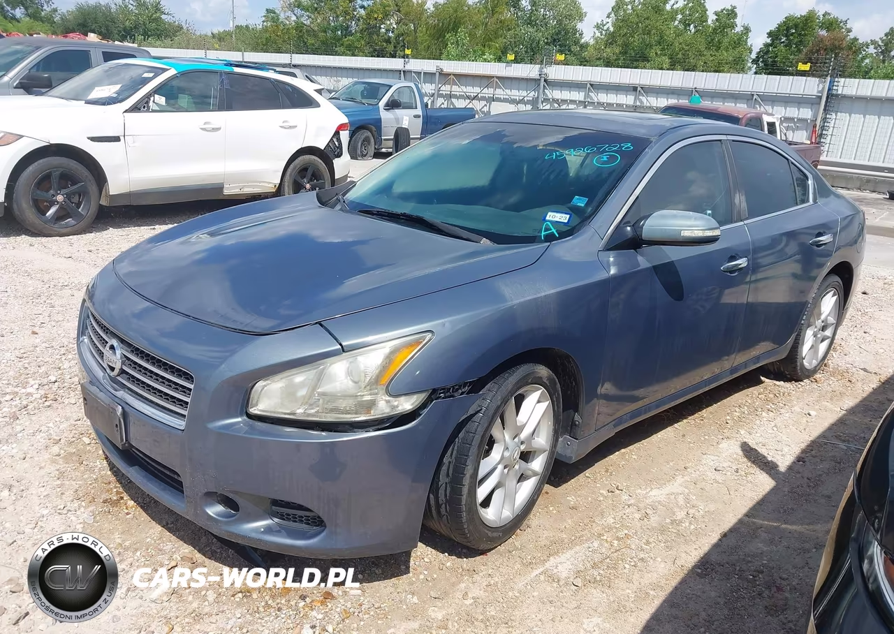 2009 Nissan Maxima 3.5 Sv VIN:1N4AA51E59C838521 - 2