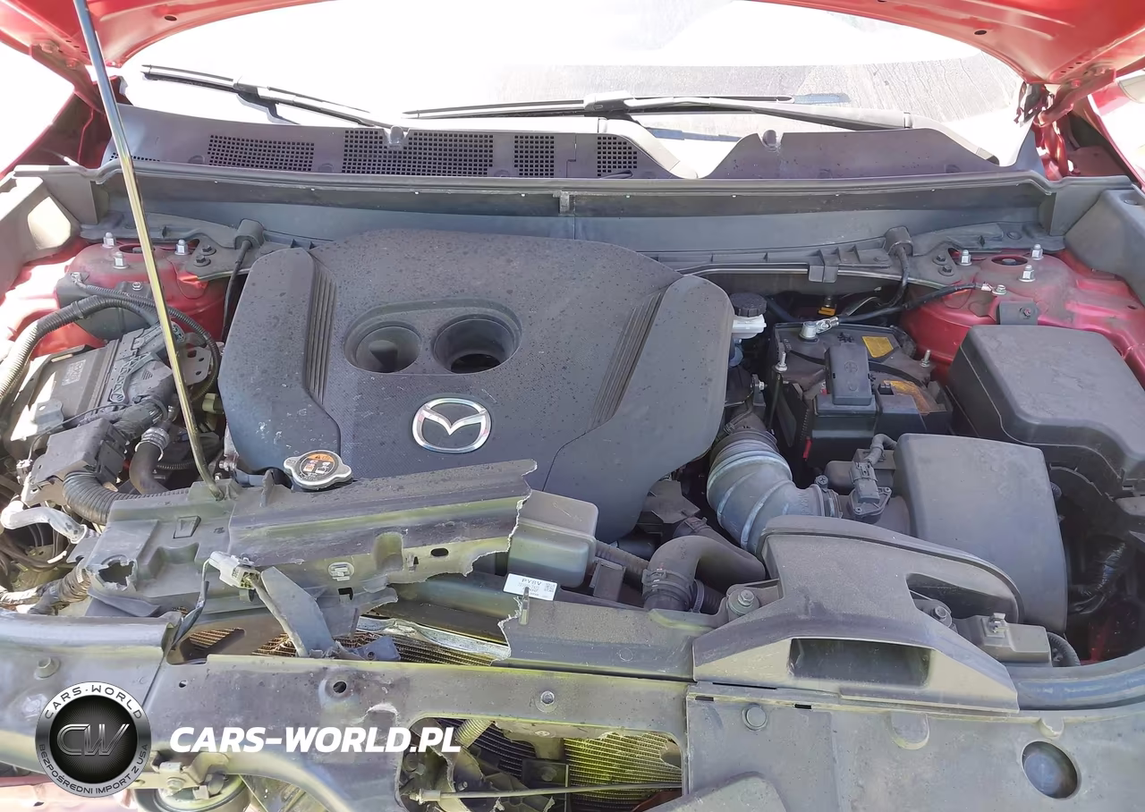 2023 Mazda Cx-9 Touring Plus VIN:JM3TCBAY4P0640623 - 10