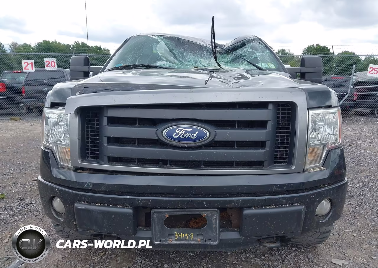 2013 Ford F-150 Stx VIN:1FTFX1EFXDFD46665 - 12